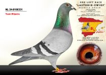 NL 24-8106331